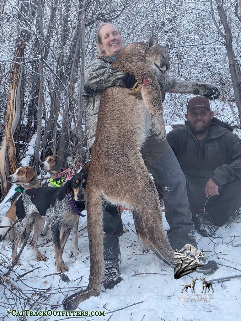 Mountain Lion Hunt
