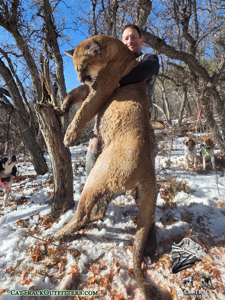 Guided Mountain Lion Hunt